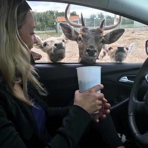 Meet your Posher, Mel